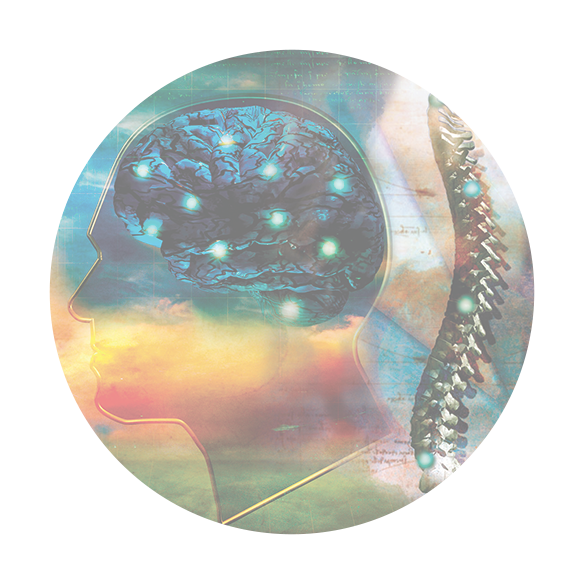 labor-day-24-promo-neuromechanical